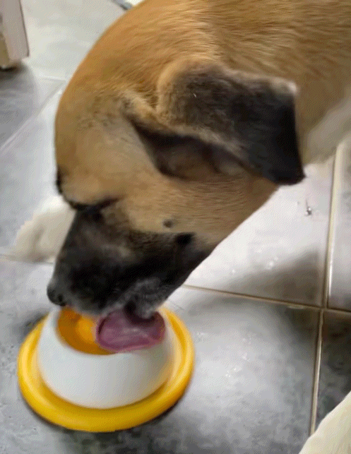 PfotenTropfen-Interaktiver Napf für Hunde und Katzen