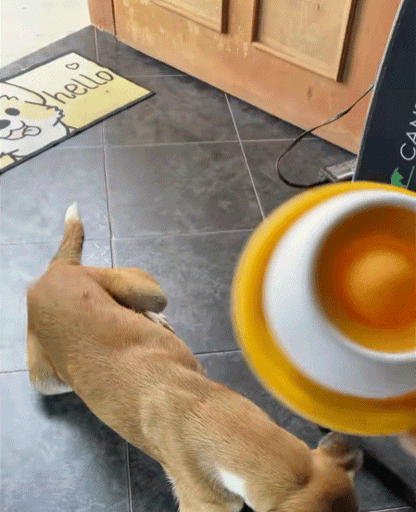 PfotenTropfen-Interaktiver Napf für Hunde und Katzen