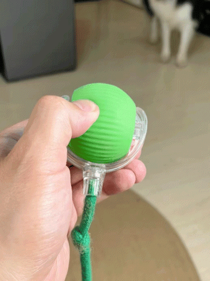 ChaseMate Automatischer und interaktiver Hundespielzeug