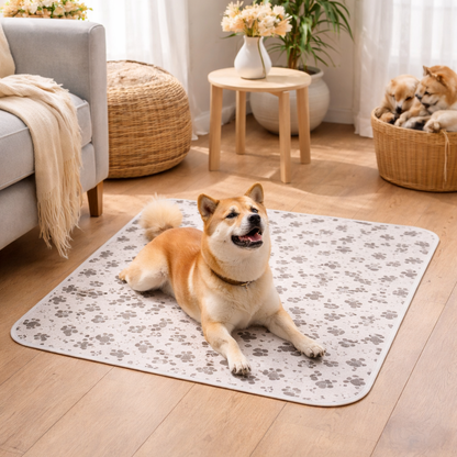 Hygienische, saugfähige und waschbare Matte für Hunde und Welpen